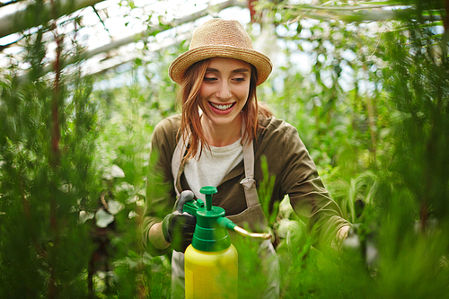 Portrait of smiling young woman wearing straw hat enjoying working with plants in glasshouse, treating shrub saplings with chemicals using spray can