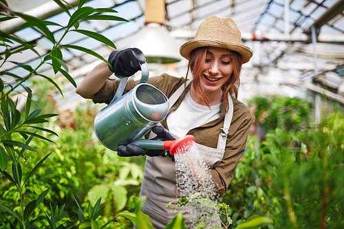 Portrait of beautiful young woman wearing straw hat enjoying working in tree nursery garden, watering plants using metal can and smiling