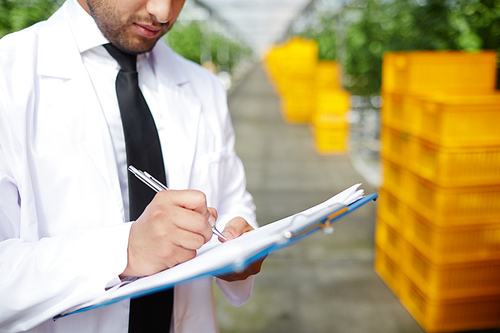 Close-up shot of unrecognizable bearded greenhouse worker with clipboard in hands writing down amount of harvested crop, plastic crates with fruits and vegetables on background