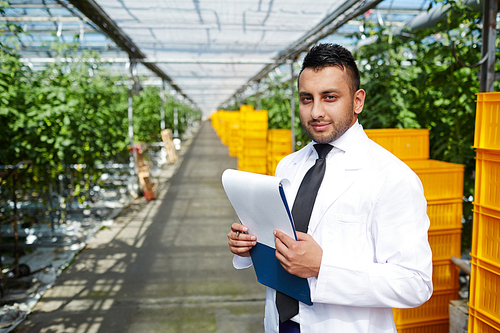 Waist-up portrait of handsome young specialist  with confident smile while carrying out inspection at spacious modern greenhouse