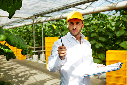 Farming specialist in uniform pointing at green vegetation in hothouse