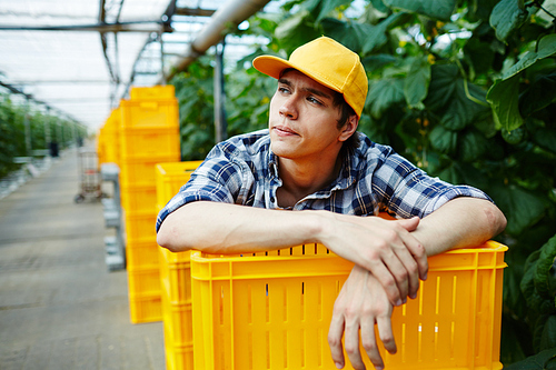 Young gardener leaning over stack of plastic boxes in greenhouse