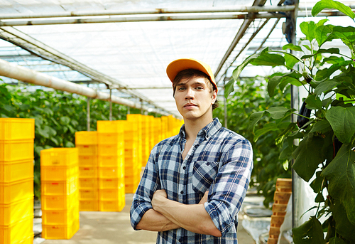 Confident young farmer wearing checked shirt and baseball cap standing at modern spacious greenhouse with arms crossed and , waist-up portrait