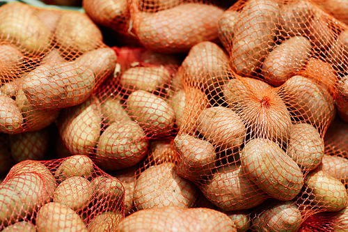 Close-up shot of red net bags with raw young potatoes