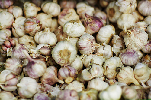 Pile of fresh garlic bulbs on market stand, close-up shot