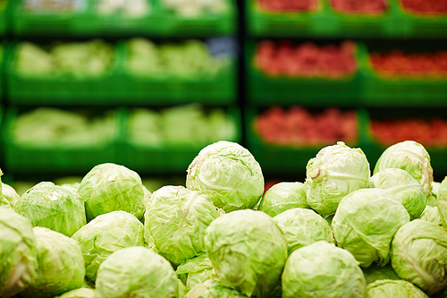 Supermarket stand with group of fresh green cabbages in fruit and vegetable department