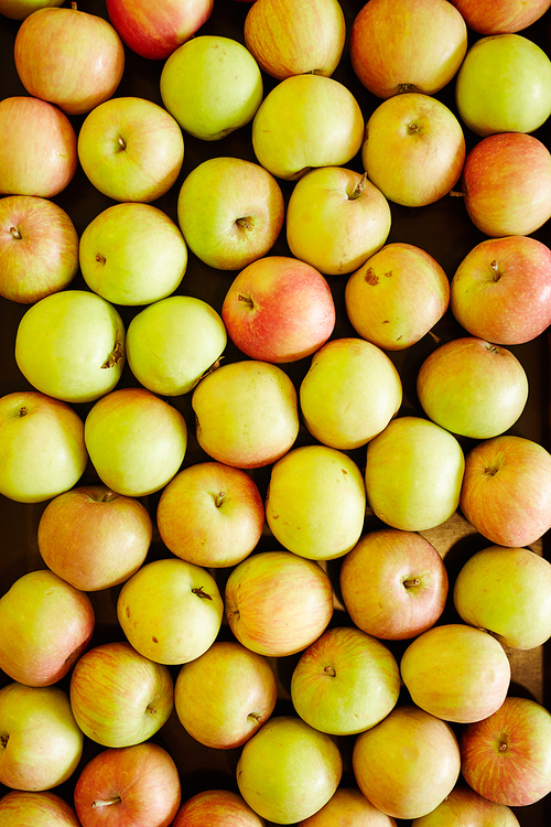 Background of fresh and ripe apples of pink and yellow color