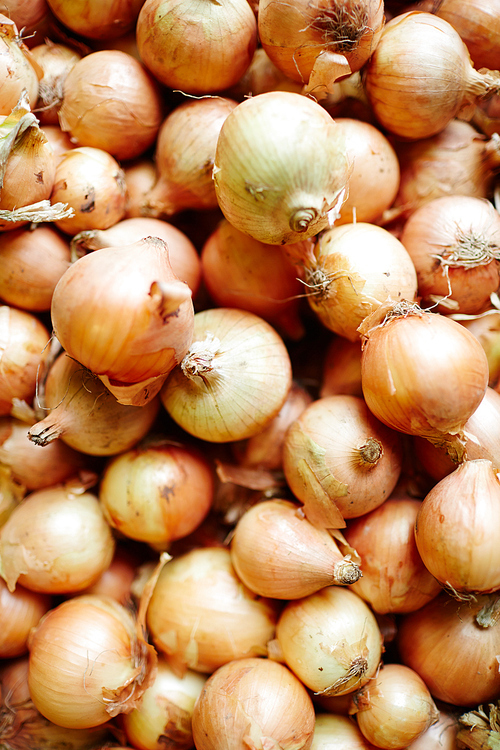 Heap of onion bulbs in shells for sale in supermarket