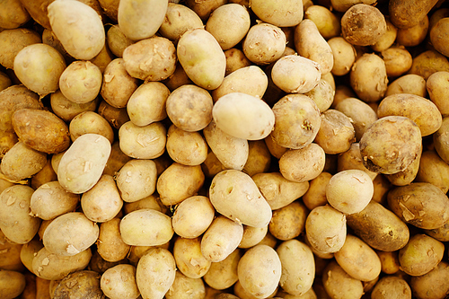 Background of dirty raw potatoes in supermarket