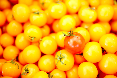 Red and yellow tomatoes in heap sold in supermarket