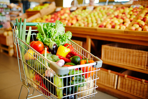 Shopping cart full of fresh and ripe vegetables in modern hypermarket