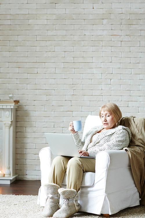 Full-length portrait of concentrated elderly woman in comfortable warm cardigan surfing the net while sitting in living room with cup of tea against white brick walls