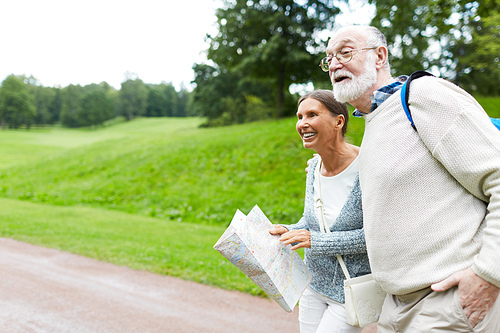 Amazed senior couple saw something curious by country road