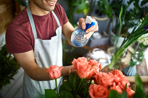 Florist spraying fresh roses with water