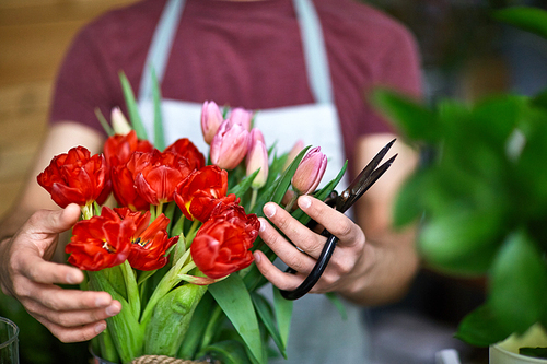 Florist with scissors arranging tulip bouquet