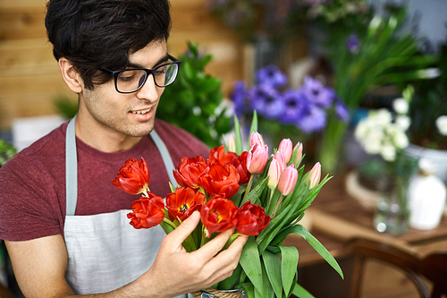 Owner of flower-shop looking at fresh tulips