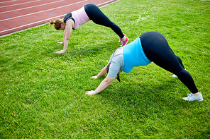 Two young active fat women bending over lawn with stretched arms and legs during outdoor workout