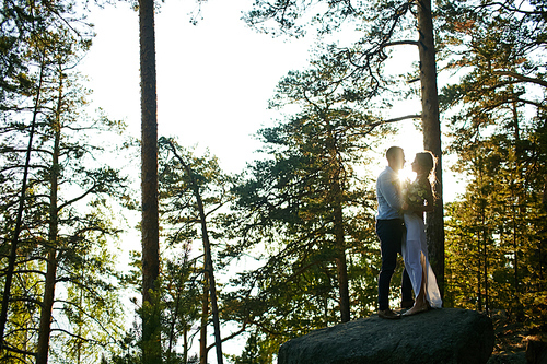 Amorous couple standing on big stone by pinetree with sunshine flare between them