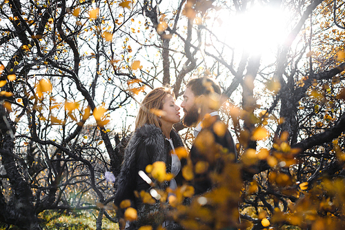 Amorous couple flirting among trees during adventurous journey