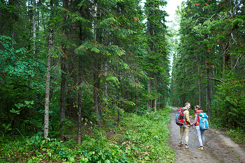 Young hikers talking while moving through forest