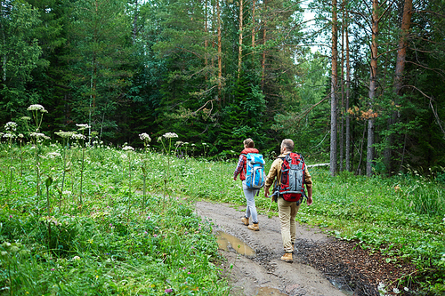 Young travelers walking deep in the forest