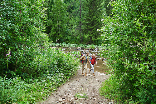 Travelers with backpacks walking along green vegetation with small river on background
