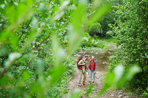 Young couple talking on forest pathway during trip