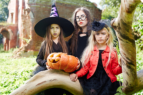 group of halloween girls with carved pumpkin in natural