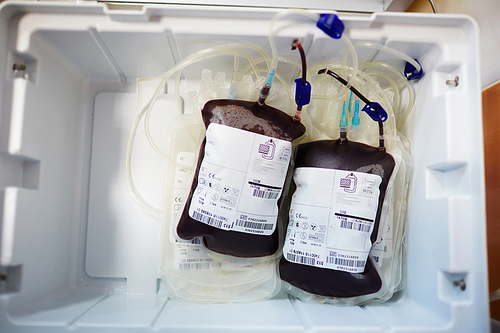 Two plastic bags with just transfused human blood