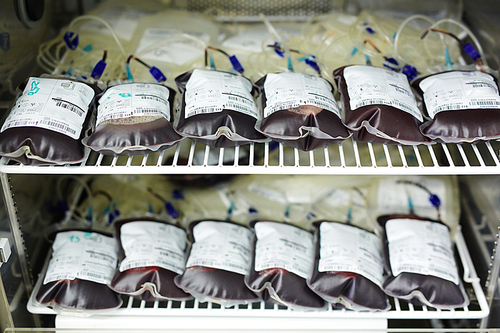 Two rows of blood-bags inside refrigerator