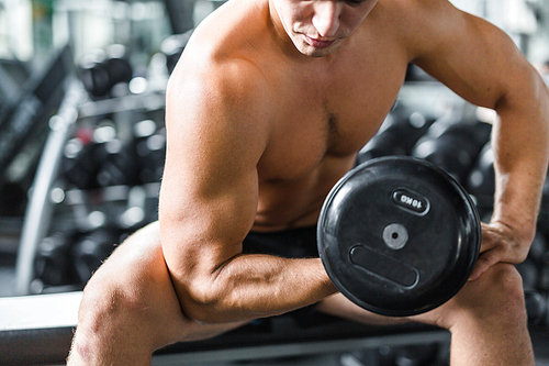 Mid section portrait of shirtless muscular man doing arm exercise working out with dumbbells during strength training in modern gym, flexing and pumping bicep muscles