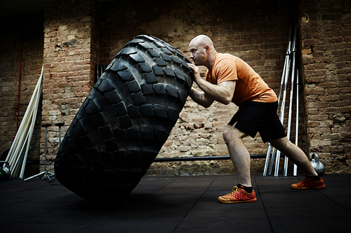 Full-length portrait of middle-aged athlete focused on intensive training while flipping huge tire, profile view