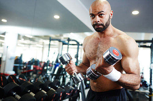 Portrait of strong muscular man pumping muscles working out with weights in modern gym, with copy space