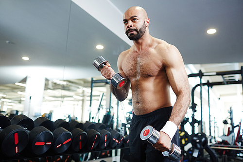 Muscular young man exercising with barbells