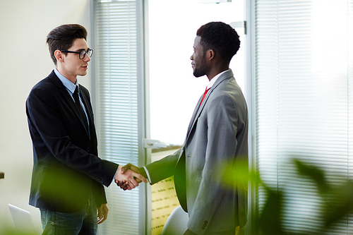 Successful professionals welcoming one another by handshake