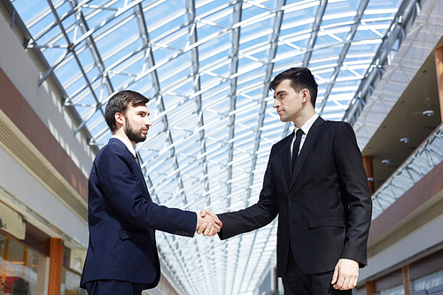 Two business partners handshaking after making deal