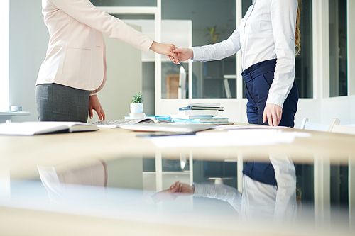 Handshake of two businesswomen over workplace