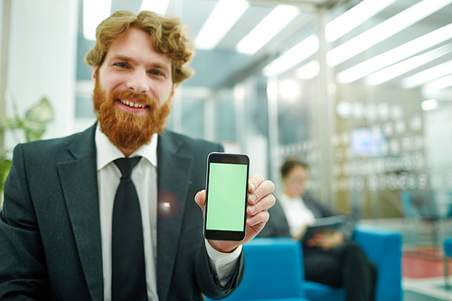 Portrait of handsome bearded businessman showing mobile app in office presenting smartphone with green screen and smiling