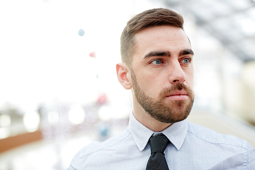 Portrait of confident contemporary businessman wearing beard and shirt looking away in office building