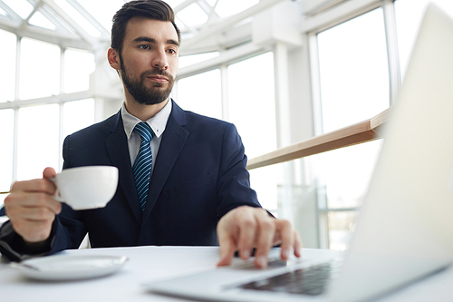 Portrait of handsome successful businessman working with laptop in cafe during coffee break