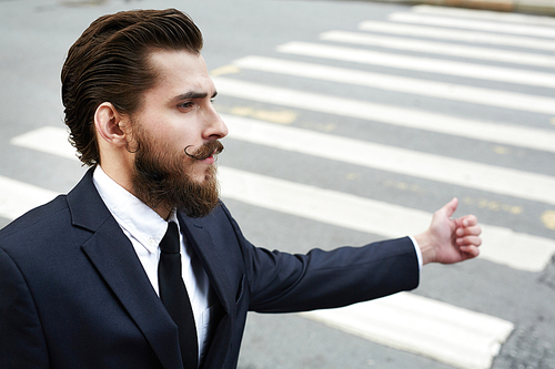 Elegant man with beard and moustache catching taxi by road