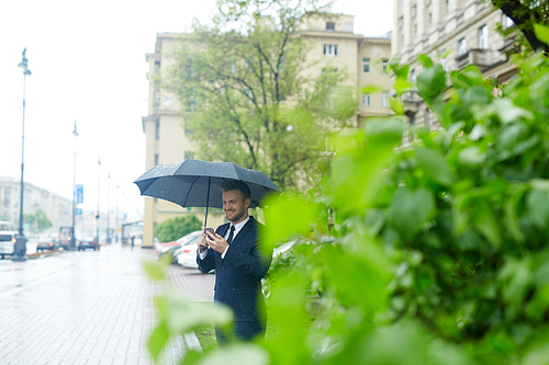 Businessman with smartphone messaging under umbrella