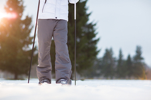 Human legs in warm winter pants during skiing in snowdrift on wintery day