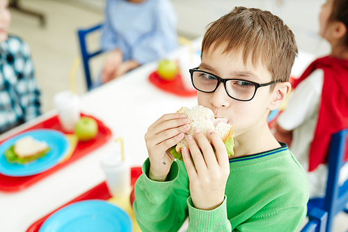 Little Caucasian boy in glasses eating sandwich with appetite while sitting at table with classmates in primary school cafeteria