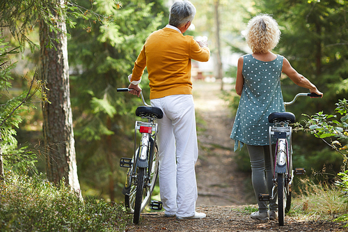 Rear view of senior couple in casual clothing standing with bicycles on hill and looking at forest path, elderly man in yellow sweater explaining cycling route and gesturing hand