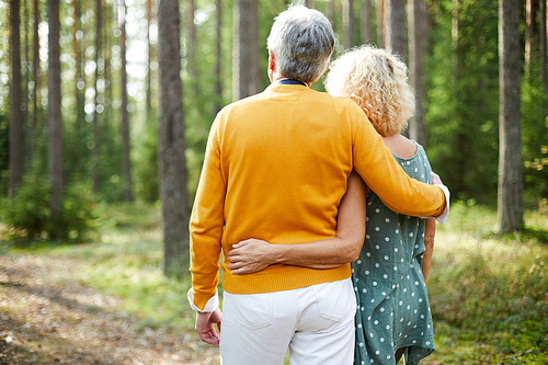 Back view of embracing seniors in casualwear chilling out in the forest on summer day