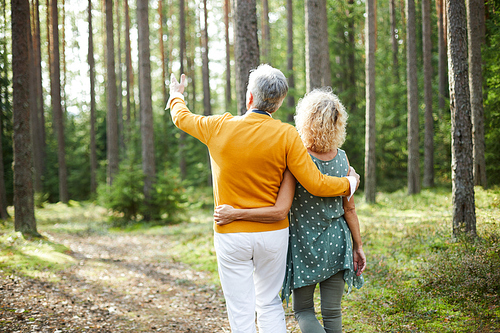 Senior man pointing forwards while taking walk with his wife in the forest on summer day