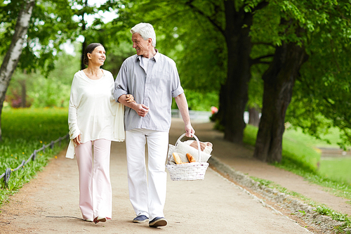 Amorous seniors walking down road in park while going to have picnic on summer day