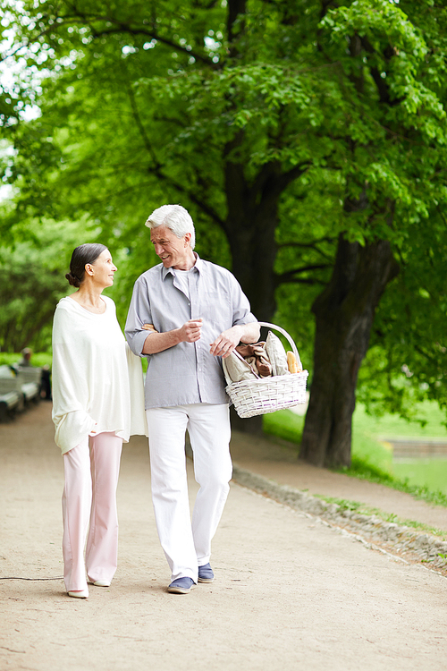 Senior man and woman in casualwear walking along road in park and having talk