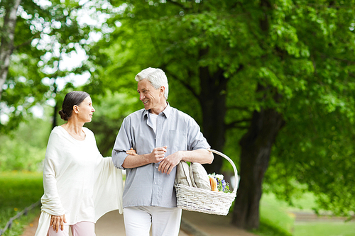 Aged woman and her husband with basket having talk while moving in park along green trees